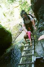 fot01.jpg (7986 bytes)