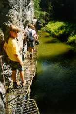 fot02.jpg (8052 bytes)