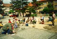 fot04.jpg (9549 bytes)